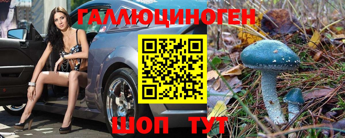 Псилоцибиновые грибы GOLDEN TEACHER Тимашёвск