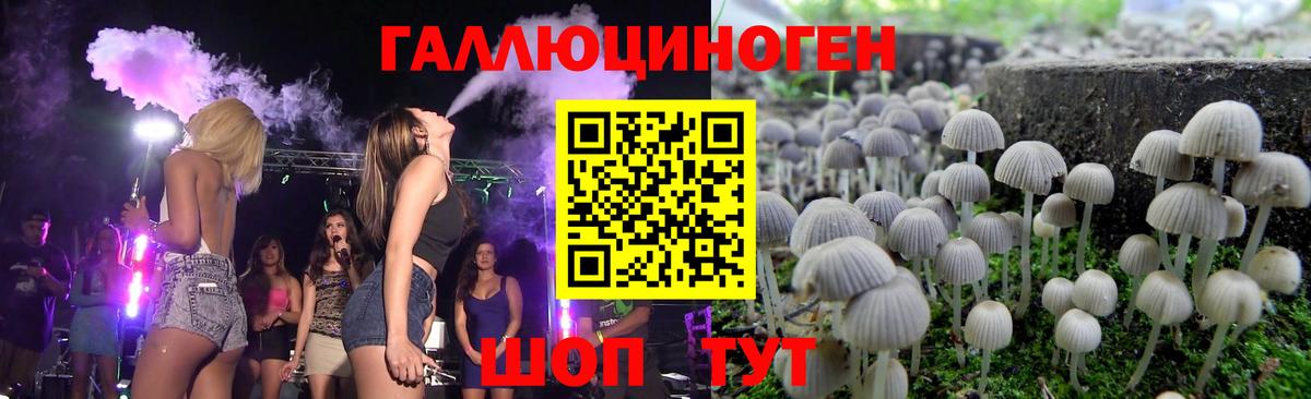 Тимашёвск  Галлюциногенные грибы прущие грибы  Вход с VPN 